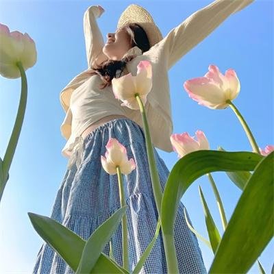 新七侠五义之屠龙案